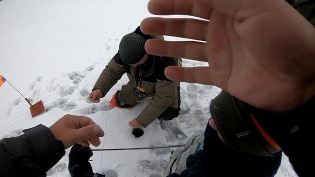 Ловля судака и щуки на жерлицы 2018 . Жерлица глазами сына.