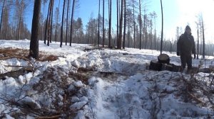 И снова в лес по дрова...