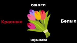 ||клип-селфхарм||-||𝙽𝚎𝚒𝚕||