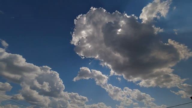 Что увидел_? смотреть онлайн