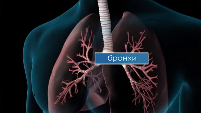 ОДЫШКА И УДУШЬЕ