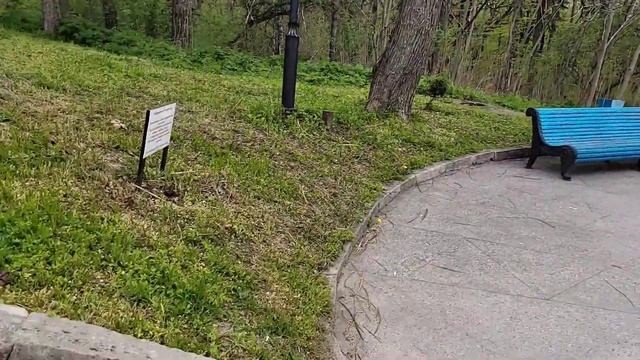 #Железноводск/ОБЗОР/КАСКАДНАЯ ЛЕСТНИЦА/СПУСК К ОЗЕРУ/ХОДЫ/ВЫХОДЫ/ПРОХОДЫ/14.04.2023.