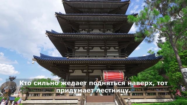 Японская мудрость. Цитата. Японские Мудрые мысли.