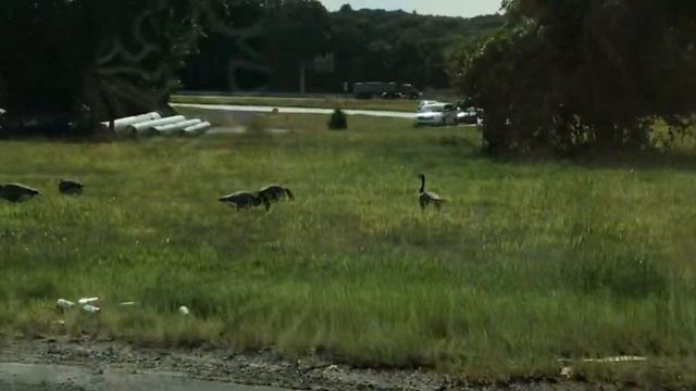 Незабываемый визит в русский магазин смотреть онлайн