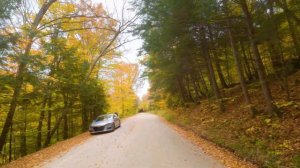 Best Scenic Shots of New England's Fall Foliage in 4K - Autumn Scenic Roads of New Hampshire