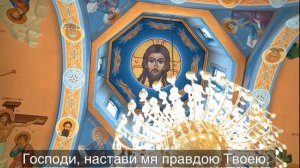 5 ПСАЛОМ_ Глаголы моя внуши Господи _ Да исцелит Господь глаза, уязвленные злодеем.