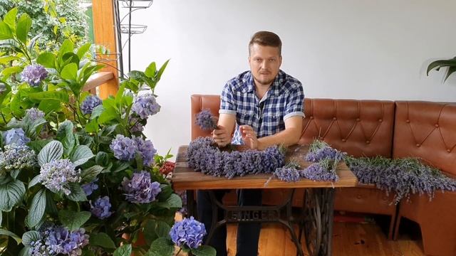ЛАВАНДА. Летняя ОБРЕЗКА. Как сплести ЛАВАНДОВЫЙ ВЕНОК.