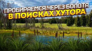 Через леса и болота в поисках хутора. Кладоискатели.