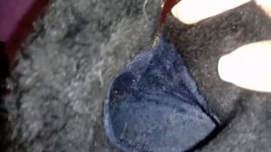 Веселые Лайфхаки - Лайфхак с Обувью