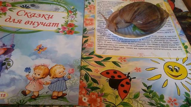 Сказки для внучат от ахатины. Божья коровка. Серия 4. смотреть онлайн
