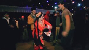 Туй дар Гулистон Нохияи хуросон ракоса туя обод кард 2021