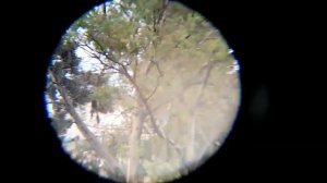 Mini monocular 8 ×20