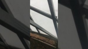 Бюджетная теплица своими руками