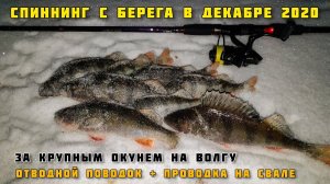 ЛОВЛЯ НА СПИННИНГ С БЕРЕГА - ЗИМНЯЯ РЫБАЛКА НА ВОЛГЕ В ДЕКАБРЕ 2020 отводной поводок окунь Тольятти