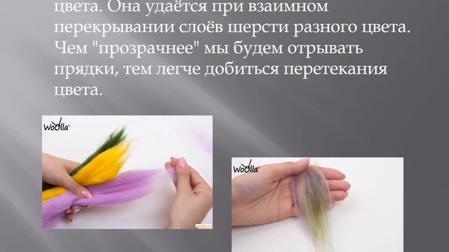 Шерстяная живопись
