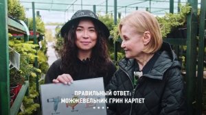 Детектив в питомнике растений: Дарья Донцова ищет загадочный изумруд и драчливый рододендрон.