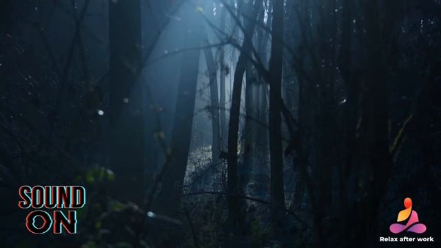 Атмосферная видео, ночной лес ? смотреть онлайн