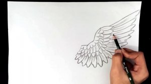 How To Draw Angel Wings Easy For Beginners