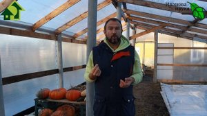 Строительство теплицы своими руками: НЕТ НИЧЕГО НЕВОЗМОЖНОГО! Какую теплицу я выбрал.