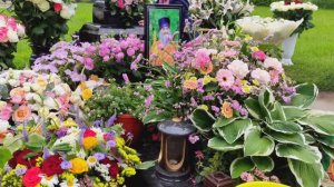 День рождения отца Илиодора 23.06.2024г / Авва Илиодор / Оптина пустынь