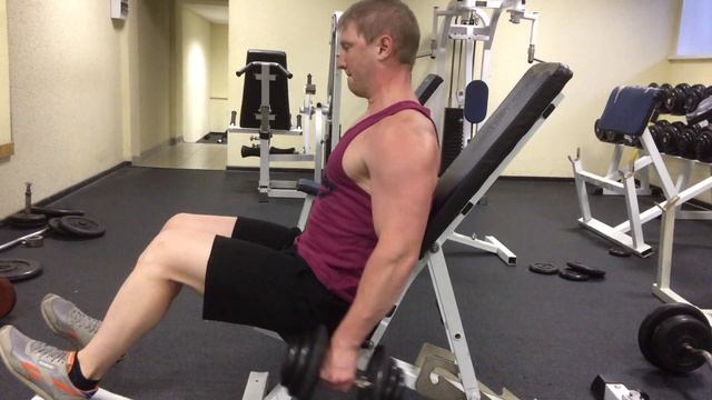 Бицепсы-Молотковые сгибания рук с гантелями сидя смотреть онлайн