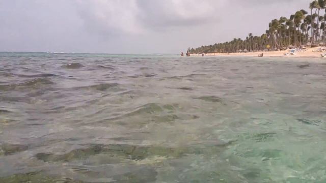 Punta Cana Uvero Alto смотреть онлайн