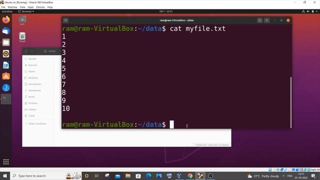 Basic Linux commands every programmer should know