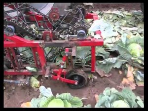Комбайн капустоуборочный малогабаритный МКК-1