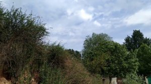 Поездка в Берислав.Шилова балка