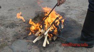 Березовый сок. Сбор и приготовление сиропа.