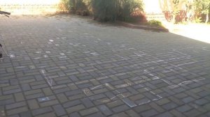 Как ездить на заднем колесе на BMX