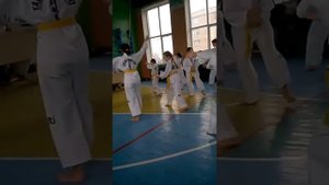 Атестация на зелёный пояс.
