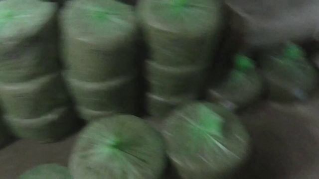 ночь , зима , баня и грибы ) смотреть онлайн