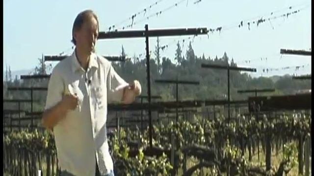The Winemakers, V1-E2: In The Vineyard -- Vine Layout