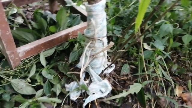 Сломалось дерево. Как восстановить?