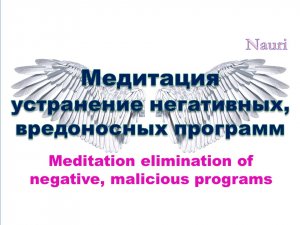 Медитация устранение вредоносных программ / Meditation elimination of negative, malicious programs