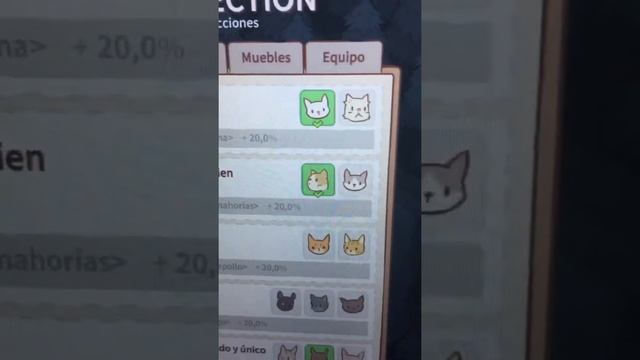 Кошки и суп