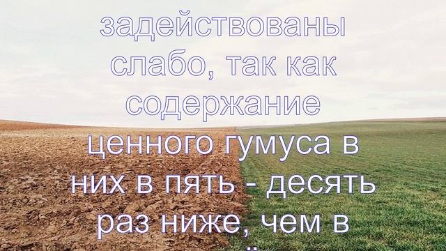 Интересные факты о почве