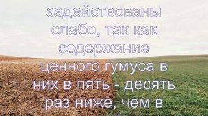 Интересные факты о почве