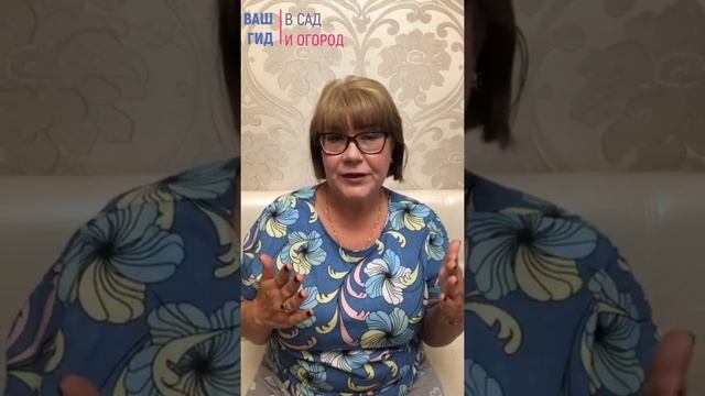 Какие ягоды начинают плодоносить уже в первый год. смотреть онлайн