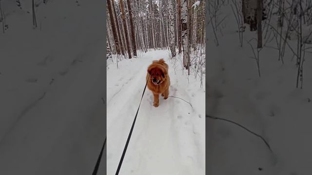 Цените тех, кто рядом с Вами....