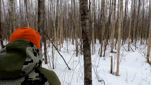 Охота с Добычем на беляка. 23 02 2024 смотреть онлайн