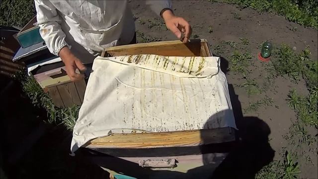 Дневник начинающего пчеловода Расширение семей смотреть онлайн