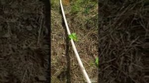 Испытание на скорость дренажного насоса Вихрь ДН 900