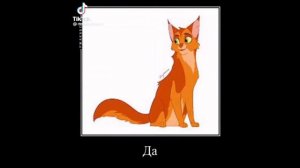 Коты воители//Пестролистая//тик ток подборка//