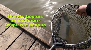 Открытие сезона ловим форель на спиннинг
