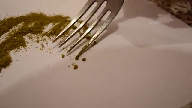 Гусеницы в приправе смотреть онлайн