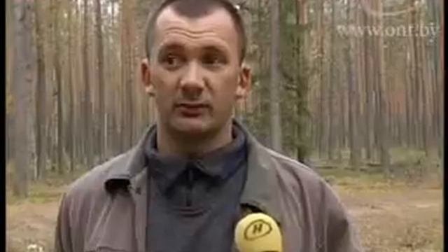 Поиски бабушки
