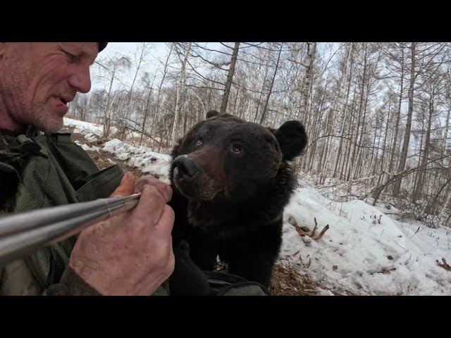 Первые прогулки с камерой. 1,5года назад. Медведь. смотреть онлайн
