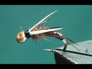 Мушка Holey Head Biot Prince Nymph.